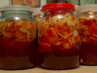 What does fly agaric in alcohol cure: healing properties of the tincture, reviews