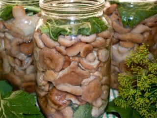 Quick salting of tremors at home