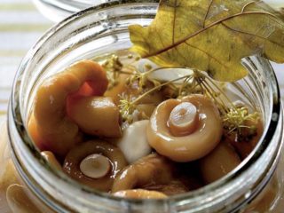 How to pickle volushki in a hot way: recipes for cooking for the winter
