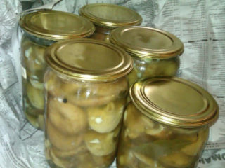Simple recipes for pickling volushkas