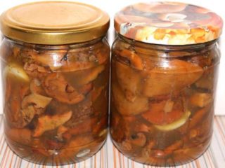 How to pickle saffron milk caps: delicious recipes