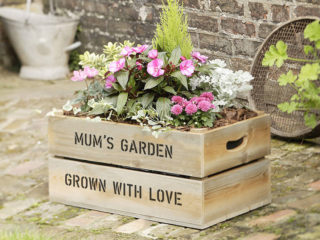 Flower garden made of wooden and plastic boxes: bright and stylish ideas + photos