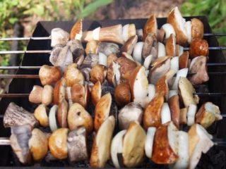 Eekhoorntjesbrood op de grill: kebabrecepten