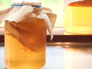 Kombucha pentru pancreatită: se poate lua, cum se bea corect