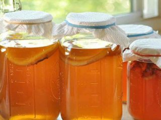 Mushroom tea kvass at home: benefits and harms, recipes