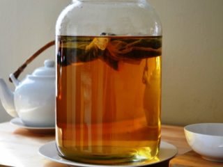 Pot mamele însărcinate și care alăptează să bea kombucha: beneficii și daune, recenzii