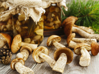 How to pickle boletus and boletus: recipes for the winter