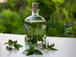 Peppermint tincture: for hair, for face, for acne, benefits and harms, instructions for use, reviews