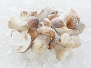 Cómo congelar hongos porcini para el invierno en casa.