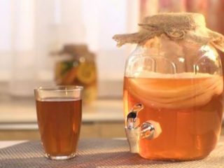 Kombucha na dnu: je to možné alebo nie, ako je to užitočné, koľko a ako piť