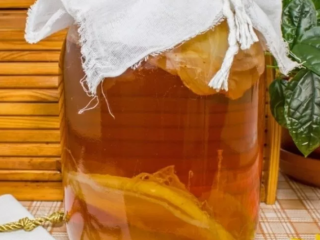 Prečo kombucha pení: choroby a ich liečba fotografiami, čo robiť a ako oživiť