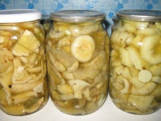 Mliečne huby na zimu pod železným vekom: ktoré z nich použiť, recepty na zimu