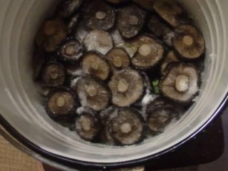 ¿Cuánto tiempo se deben remojar las setas de leche antes de salarlas, frías y calientes?