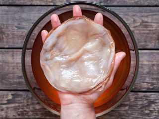 Where does kombucha come from: how it appeared, where it grows in nature