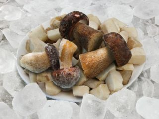 How to preserve porcini mushrooms: for the winter and for a week, terms and storage conditions