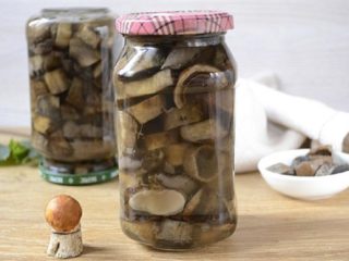 Ingelegde boletus: recepten voor de winter
