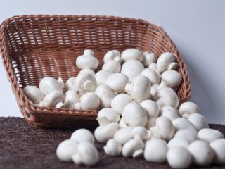 Champignons أثناء الحمل: ممكن أم لا، ميزات وقواعد الاستخدام