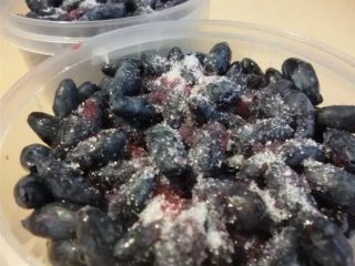 Madreselva en el congelador: cómo congelarla adecuadamente para el invierno.