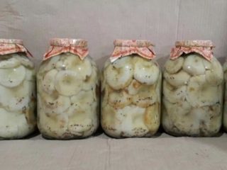 Ako dlho je možné skladovať slané mliečne huby a čerstvé huby?