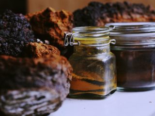 Tinktúra chaga: návod na použitie, recepty, recenzie