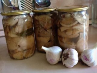 Milk mushrooms without cooking: recipes for salted and pickled mushrooms