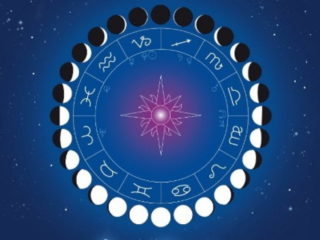 Gardener's lunar calendar for December 2023