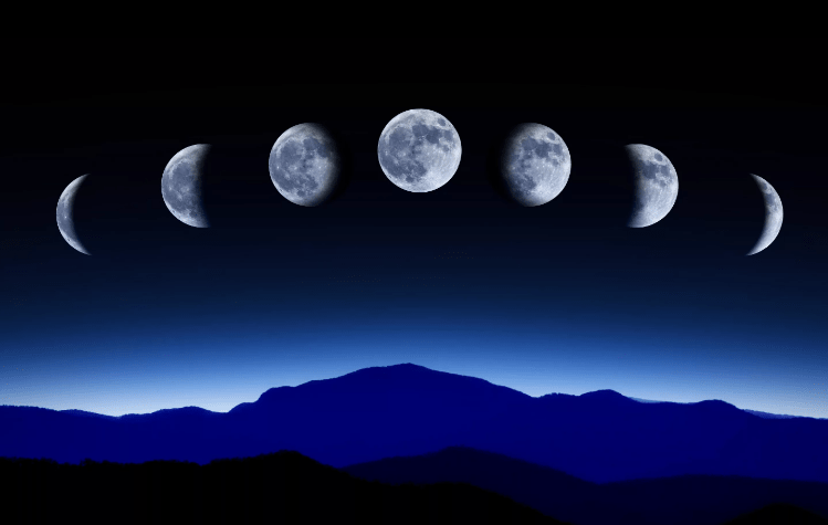 Lunar sowing calendar for the gardener for February 2024