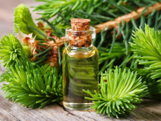 Fir oil: medicinal properties and contraindications