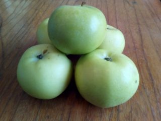 Apple tree Pobeda (Chernenko): description, photos, pros and cons, reviews from gardeners