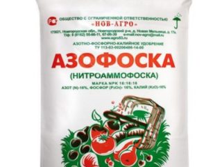 Azofos: instructions for use, how to dilute, reviews from gardeners