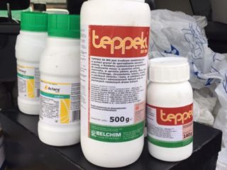 Insecticid Teppeki: cum se utilizează împotriva muștelor albe, tripsului și a altor insecte dăunătoare