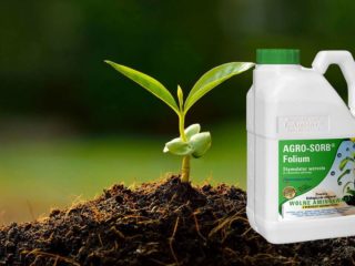 What is a chelated form of fertilizers: benefits and applications