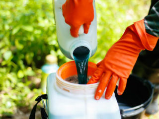 Top dressing Humate +7 Iodine: methods of application for tomatoes, cucumbers, roses