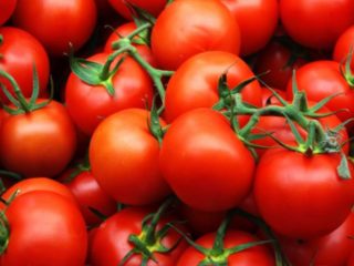 Varieti tomato Hurricane F1: penerangan, foto, ulasan dari tukang kebun