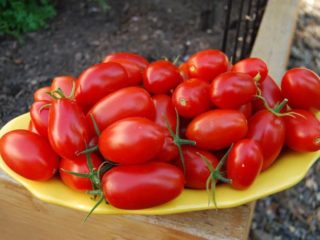 Kaskádové paradajky: recenzie, fotografie, vlastnosti, výsadba a starostlivosť