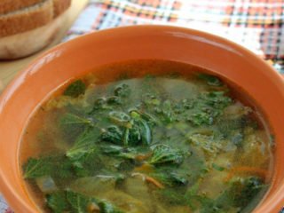 Borscht verde con ortigas: recetas con fotos.
