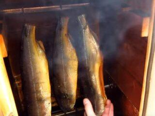 Salmón rosado ahumado caliente en un ahumadero casero: deliciosas recetas con fotos y videos
