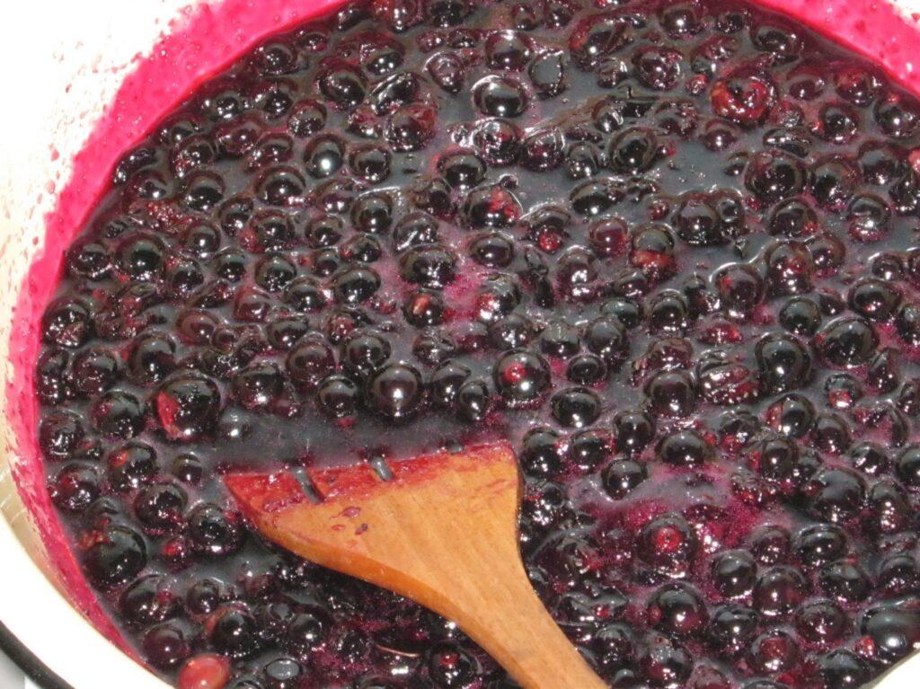 Candied currants: black, red, recipes, step-by-step instructions for ...