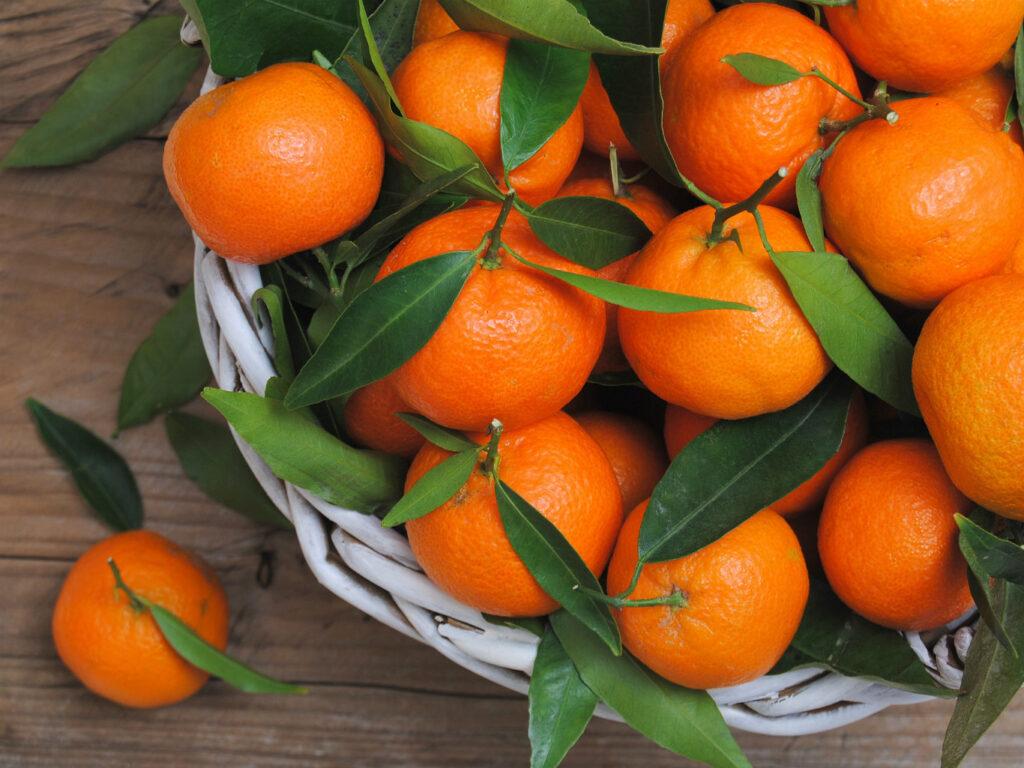 Combien existetil de types de mandarines description, variétés avec — free download