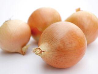 Onion Globo: description, planting seedlings, care, feeding