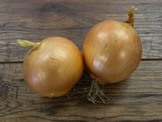 Chalcedony onion: description, growing from seeds, reviews