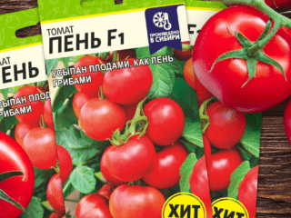 Tomatoes Stump F1: description of the variety, photo of the bush, reviews