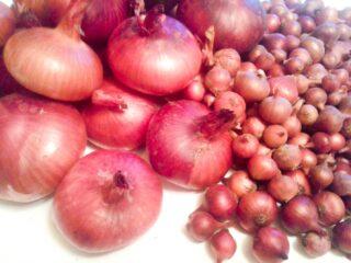 Cebolla Danilovsky 301: descripción de la variedad, reseñas, cómo cultivar a partir de semillas.