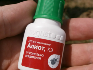 Pesticíd Aliot CE: návod na použitie, recenzie, kedy liečiť