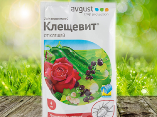 The drug Kleschevit: instructions for use against spider mites, composition, reviews