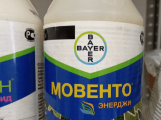 Insekticíd Movento Energy: návod na použitie, recenzie