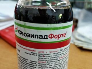 مبيدات الأعشاب Fusilade Forte: تعليمات للاستخدام، الجرعة، التعليقات، نظائرها