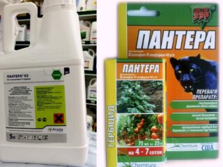 Herbicida Panther: instruções de uso, taxa de consumo
