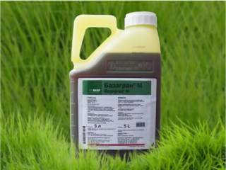 A droga Bazagran: instruções de uso, comentários