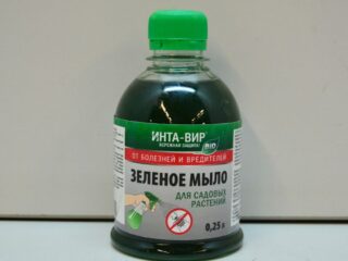 Ako používať zelené mydlo pre izbové rastliny a v záhrade